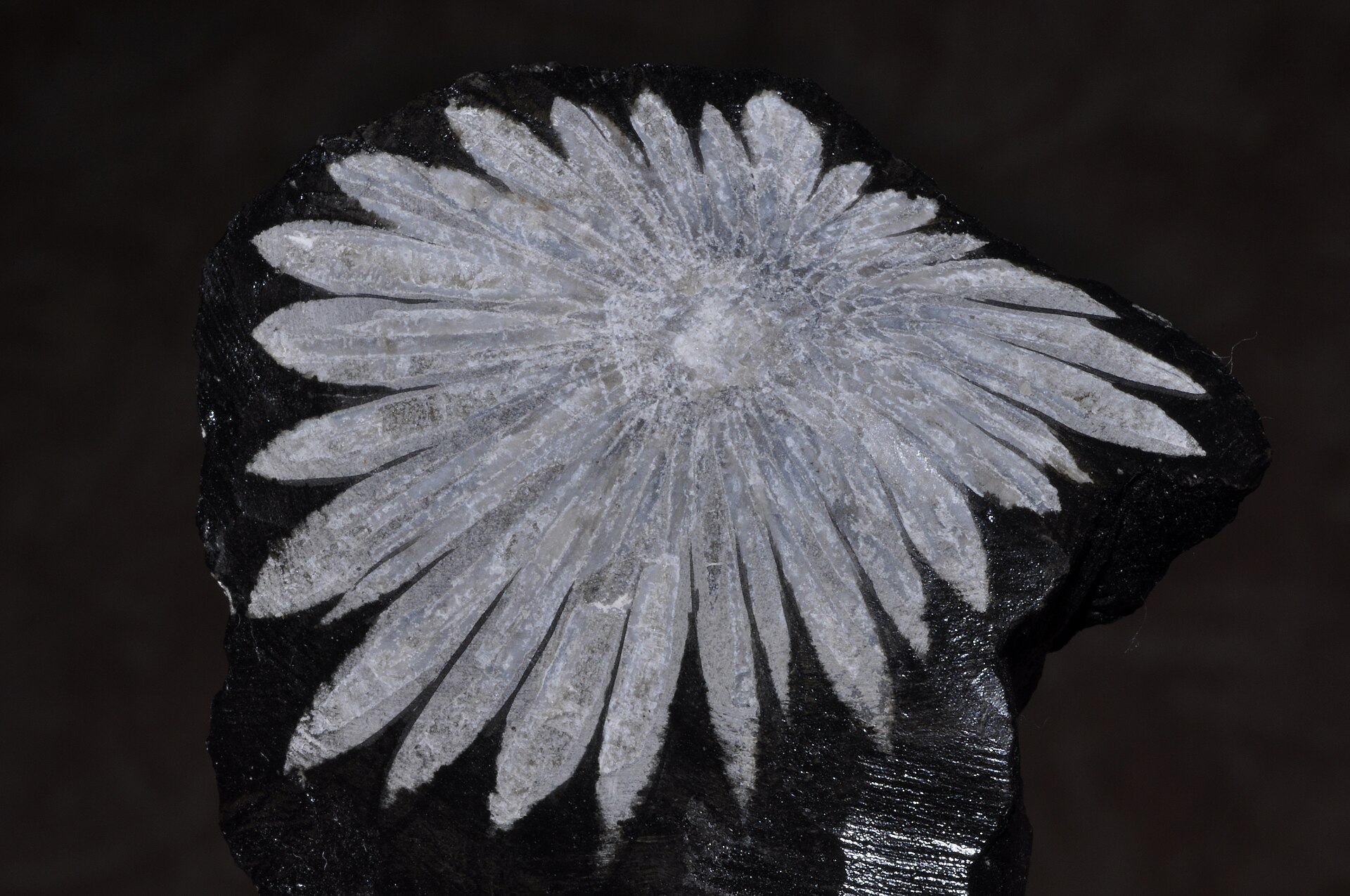 Mountain raw stone
