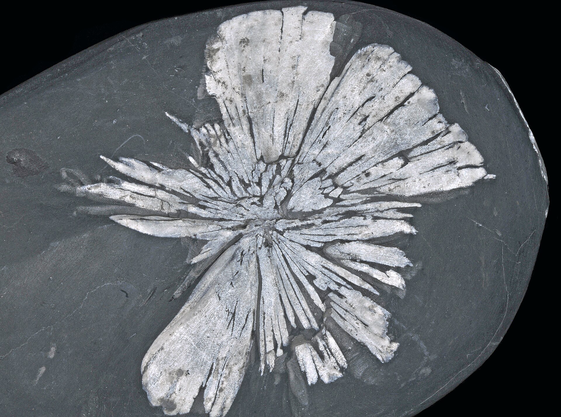 River raw stone